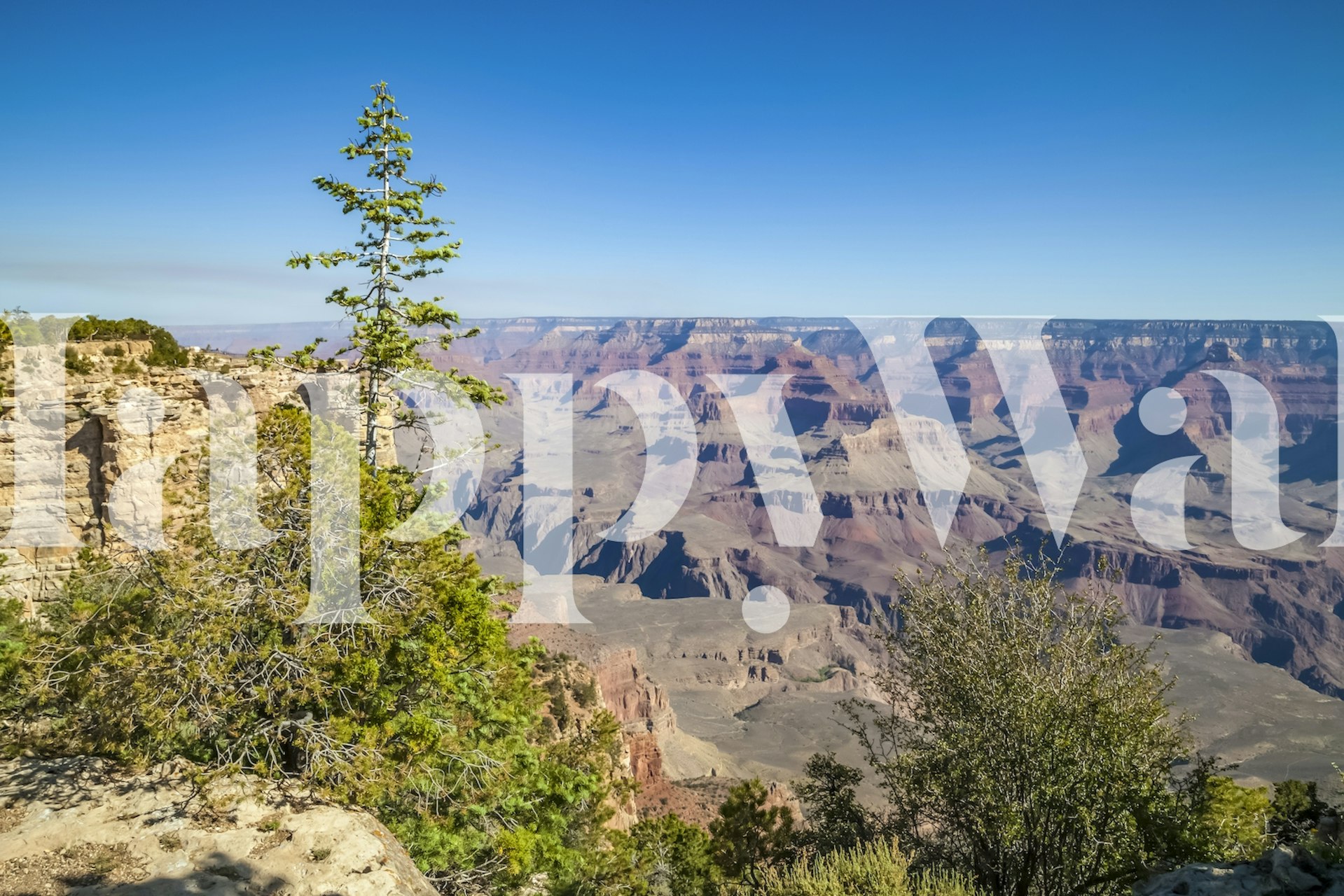 Grand Canyon Idiličan Pogled Tapeta U Sobi