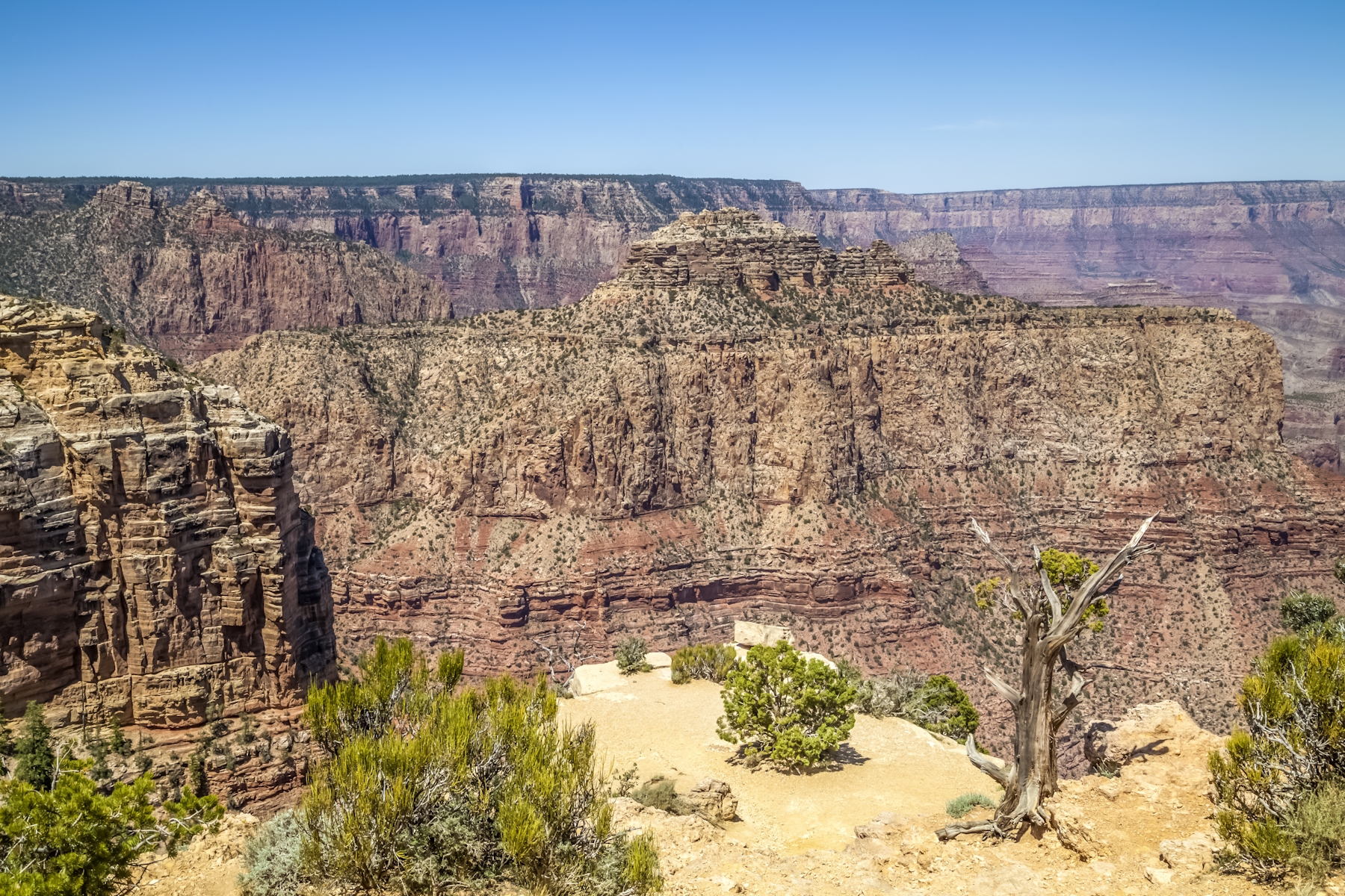 Grand Canyon Moran Point Wallpaper | Happywall