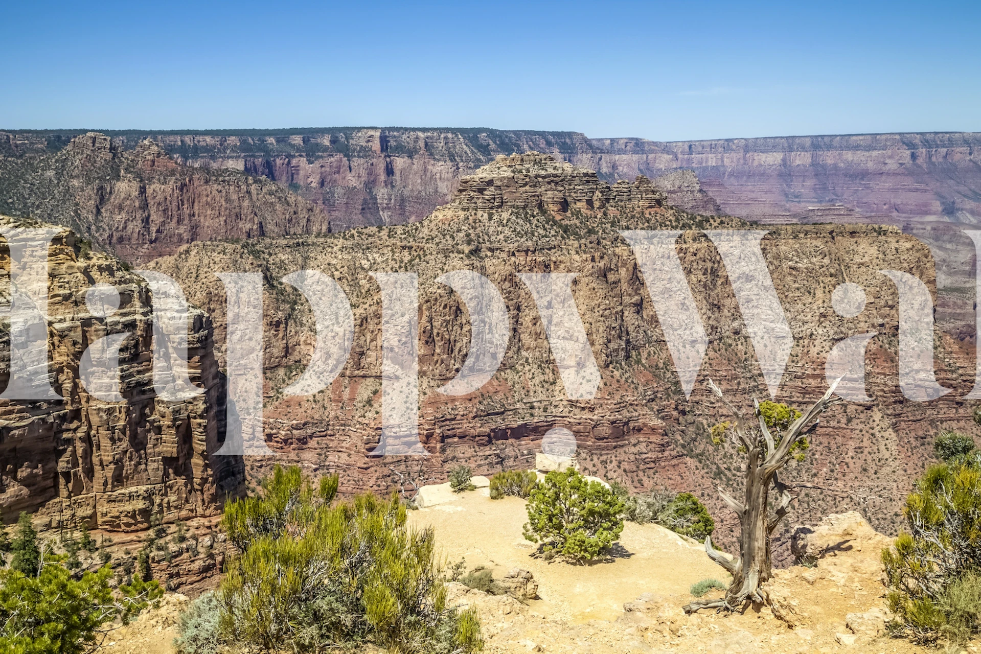 Grand Canyon Moran Point wallpaper in a room