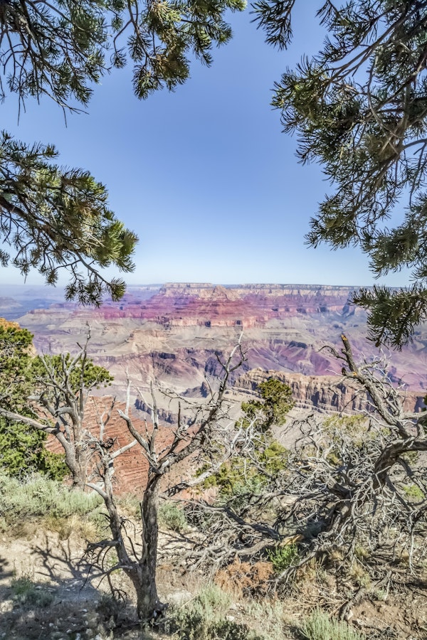 Overlooking Grand Canyon
