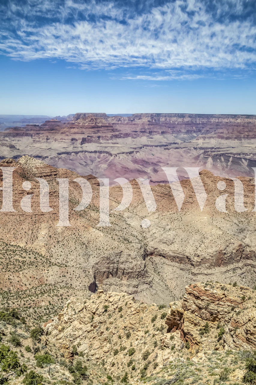 Desert View Grand Canyon Tapete in einem Zimmer