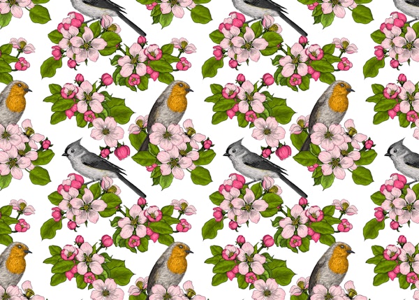 Birds and Blossoms on white