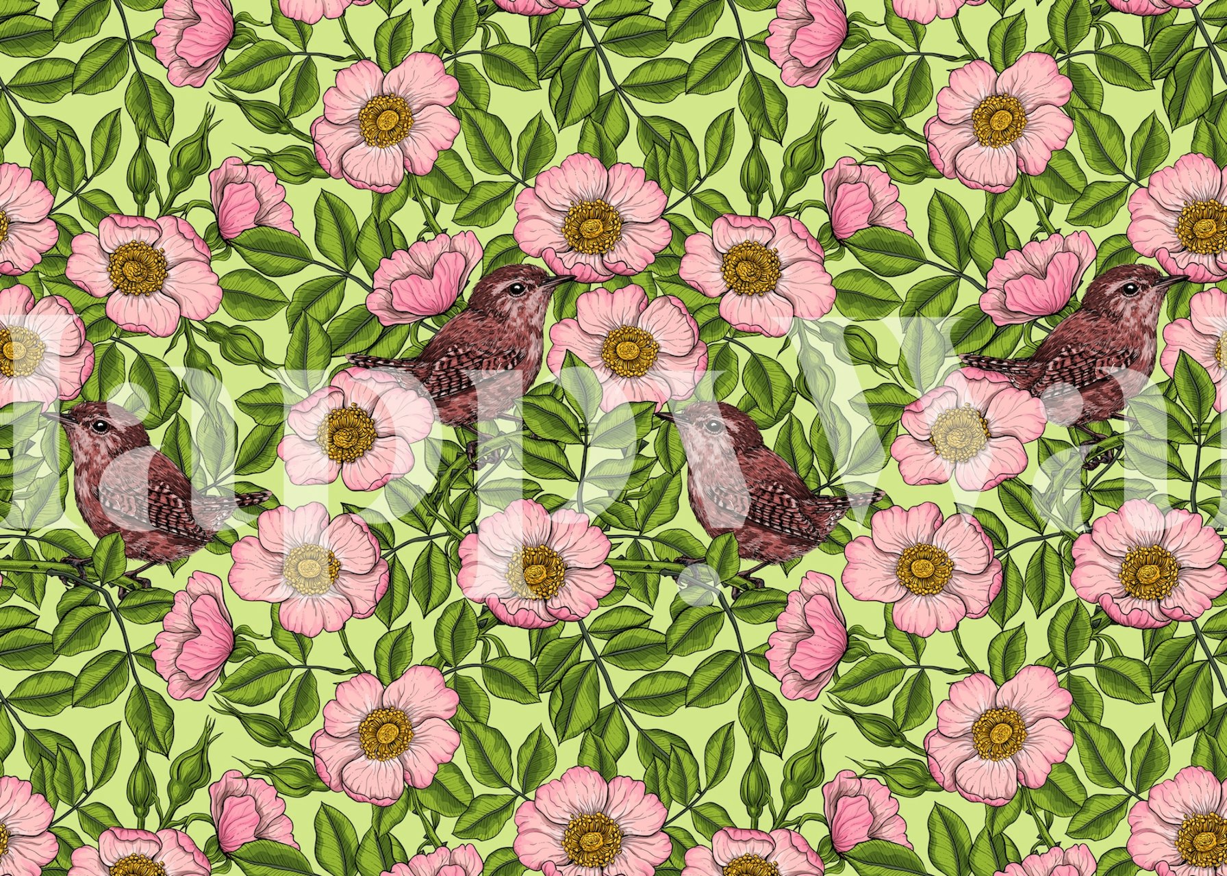 Wrens and pink roses wallpaper design