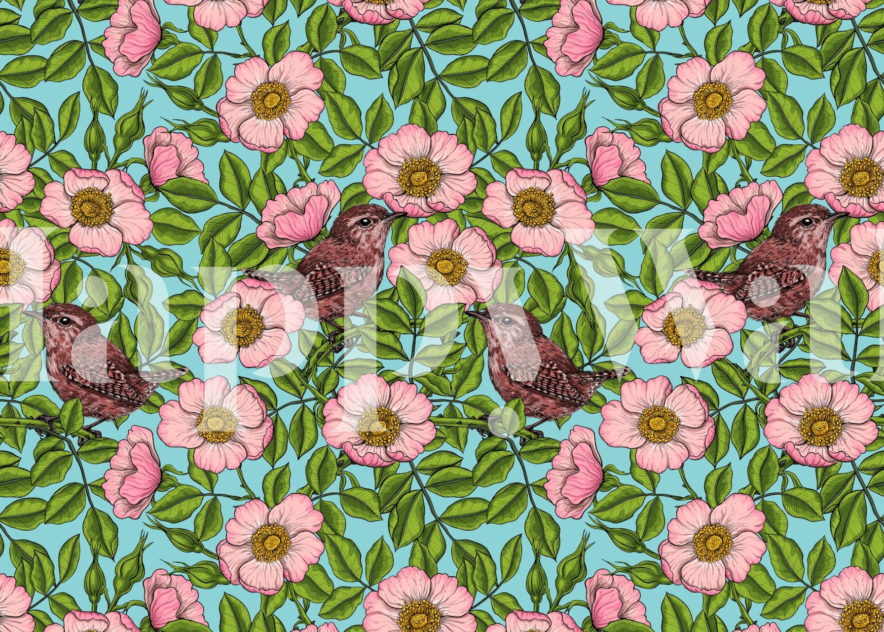 Green and pink roses with wrens on a turquoise blue background wall mural