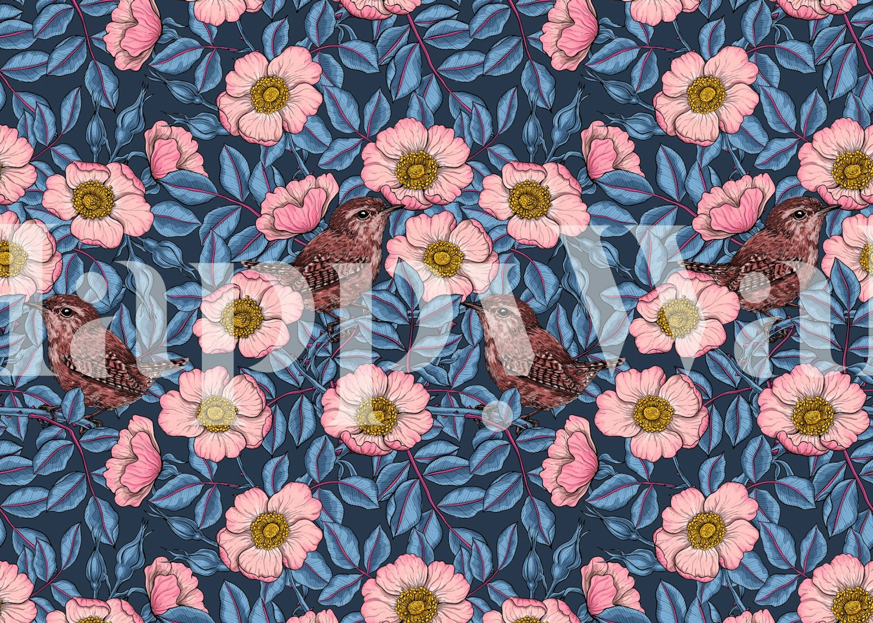 Wrens in the roses wallpaper in a room
