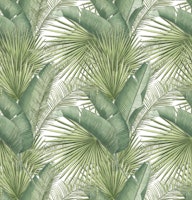 Botanical Plants tapety