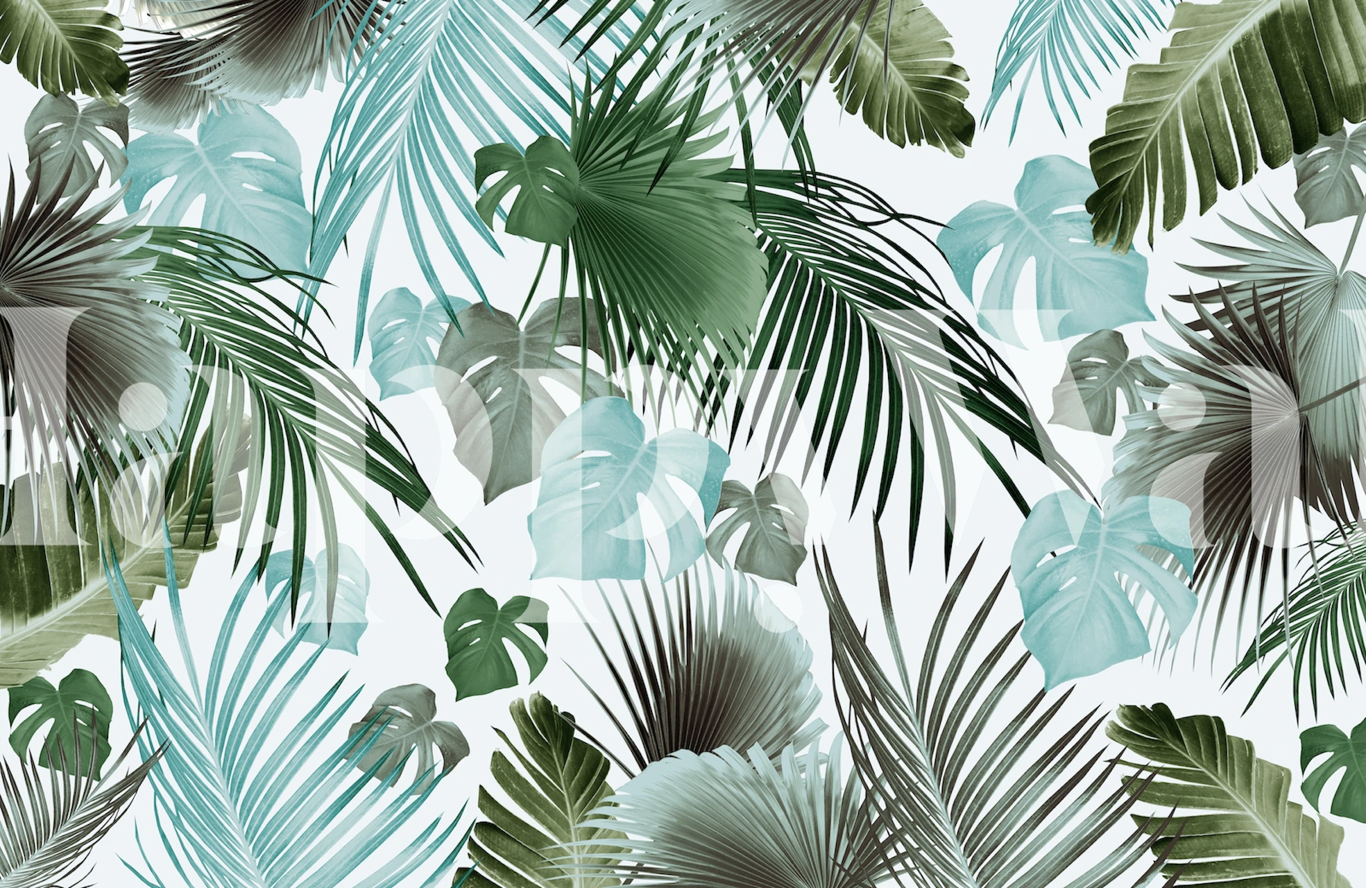 Tropical jungle leaves wallpaper in a room