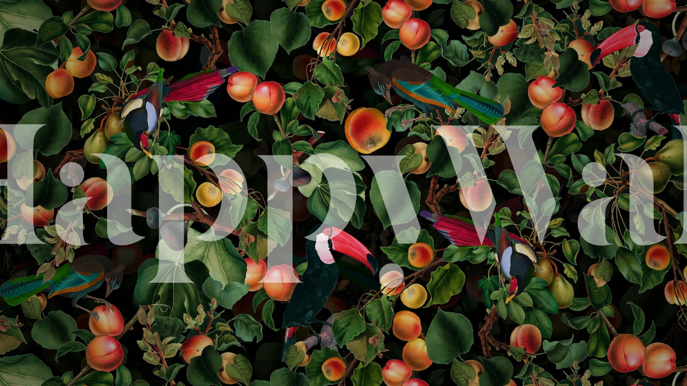 Tropical wallpaper with colorful birds and fruits on dark background