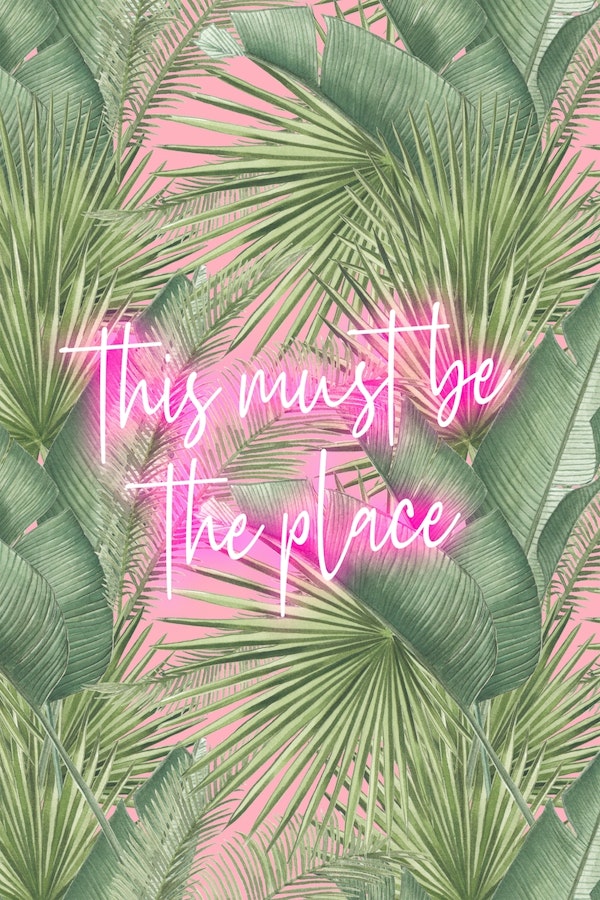 Neon this must be the place