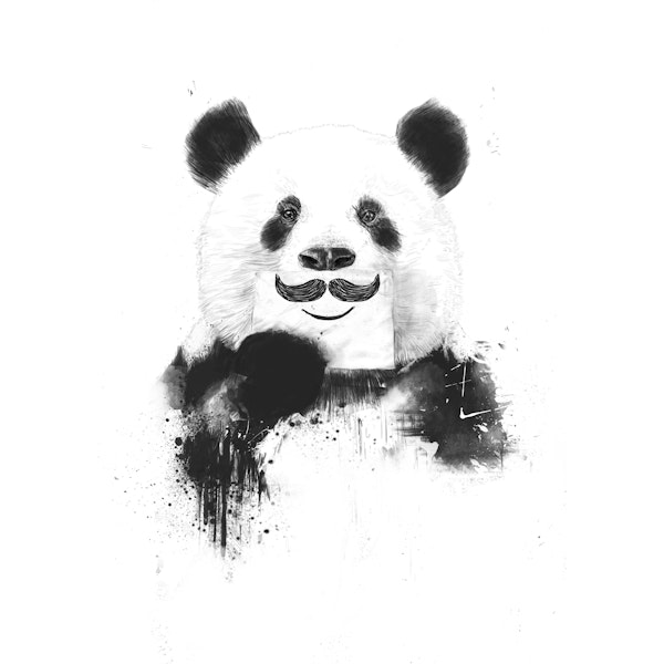 Funny panda