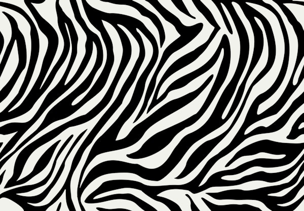 Zebra pattern III