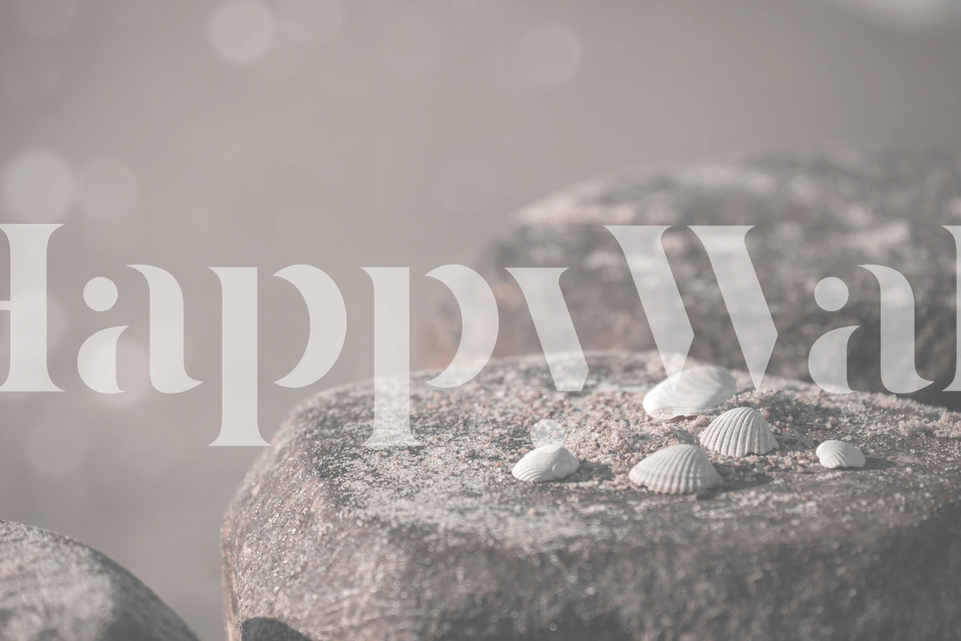 Close-up of sunlit stones on a sandy beach for the Beach Moments wall mural