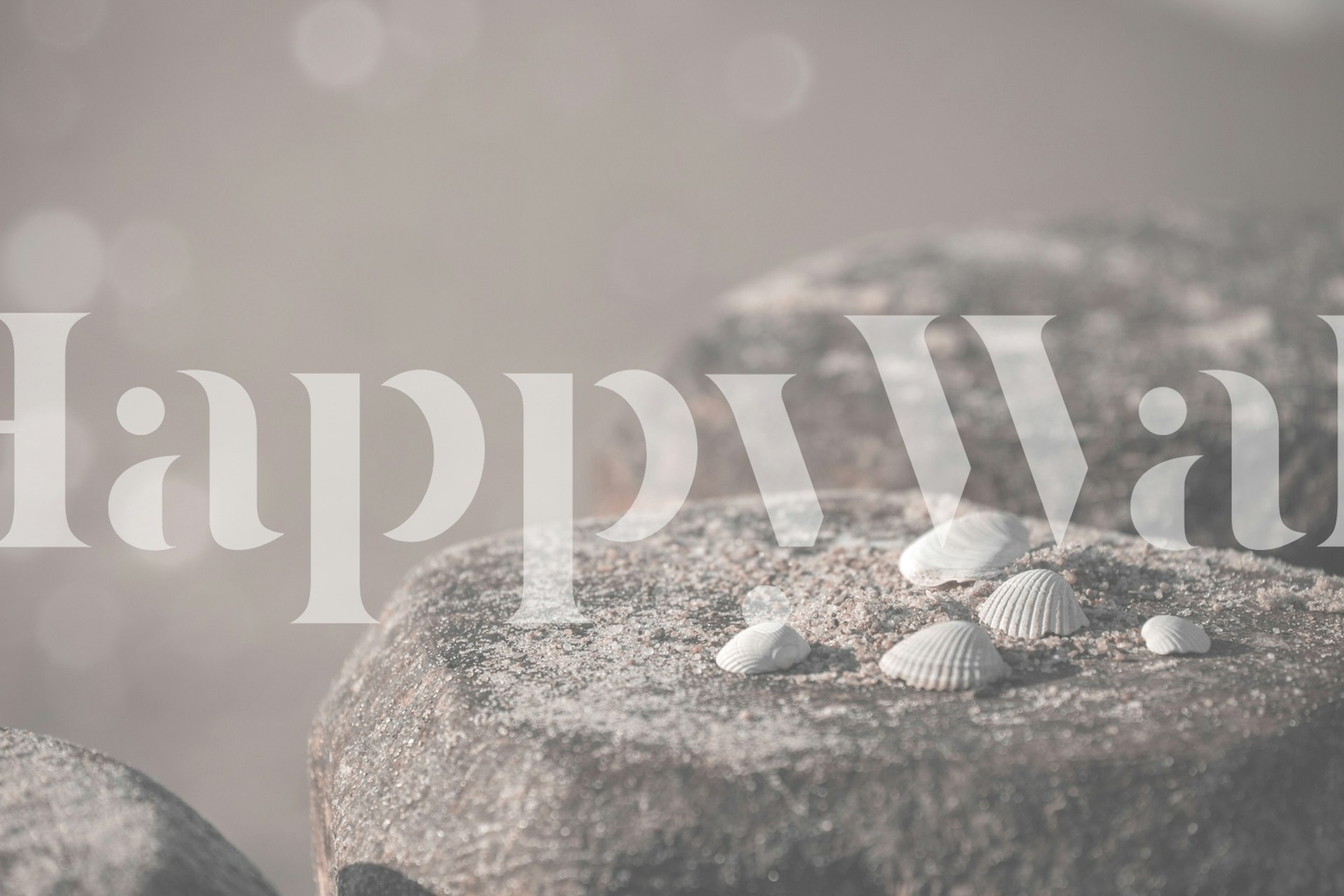 Close-up of sunlit stones on a sandy beach for the Beach Moments wall mural