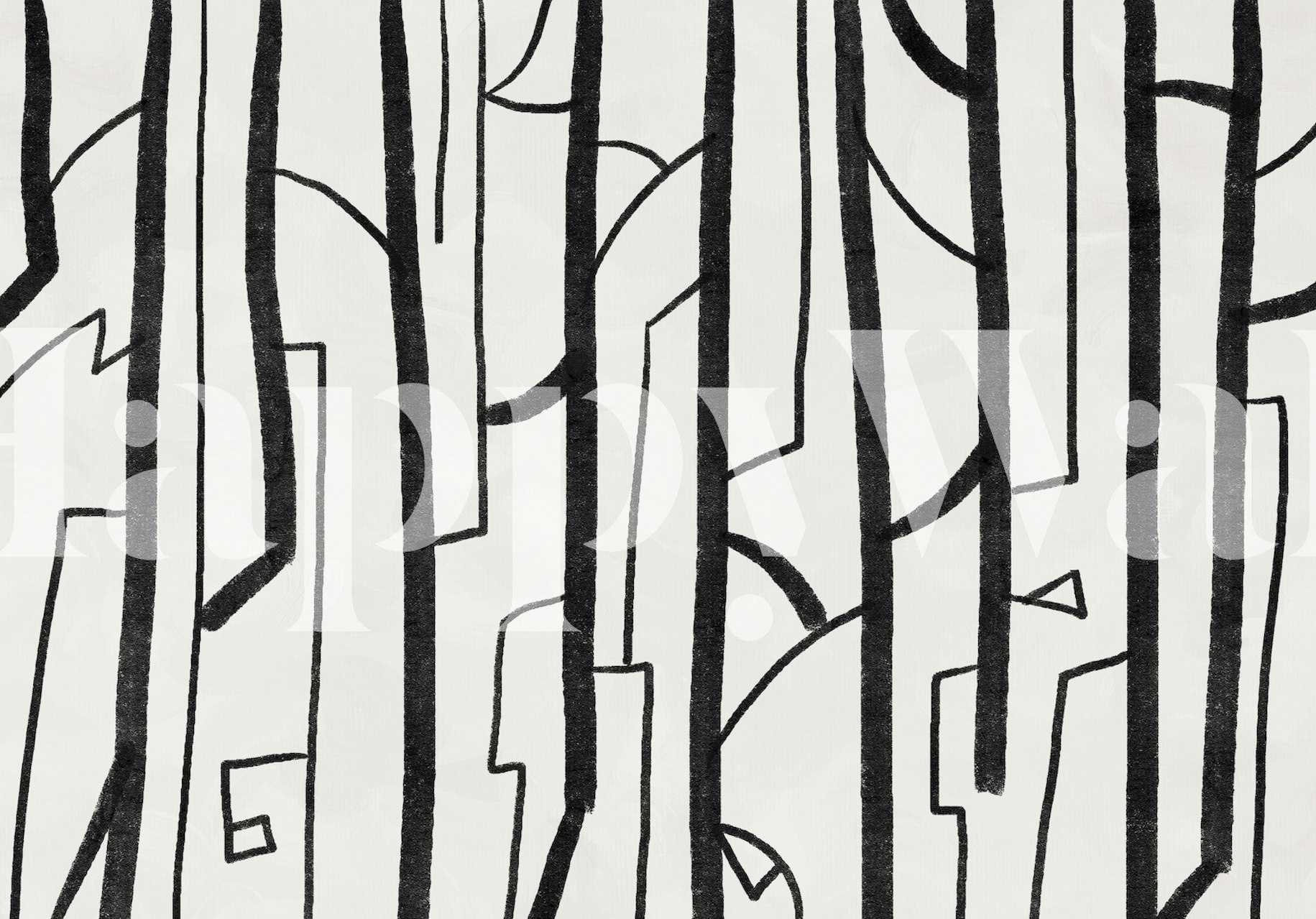 Abstract black and white patterns on wallpaper