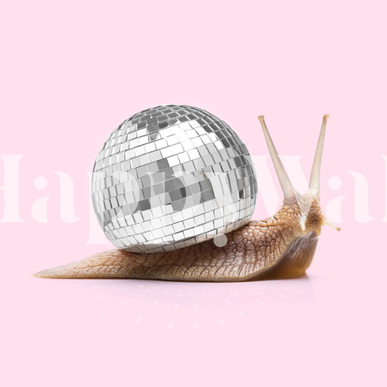 Tapeta Disco Snail v pokoji