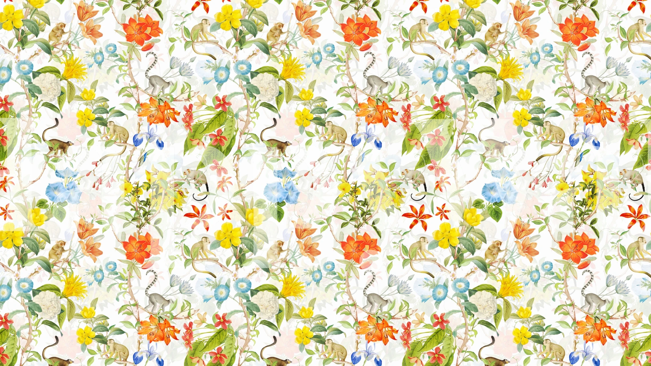 Colorful monkeys and tropical flowers on white background wallpaper