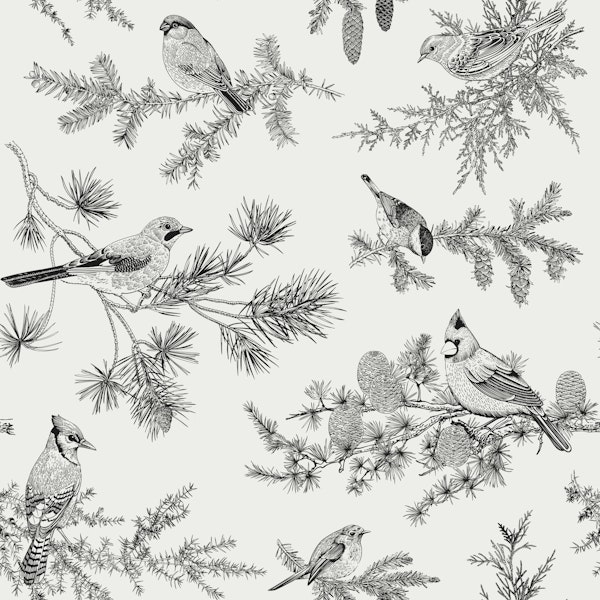 Birds toile