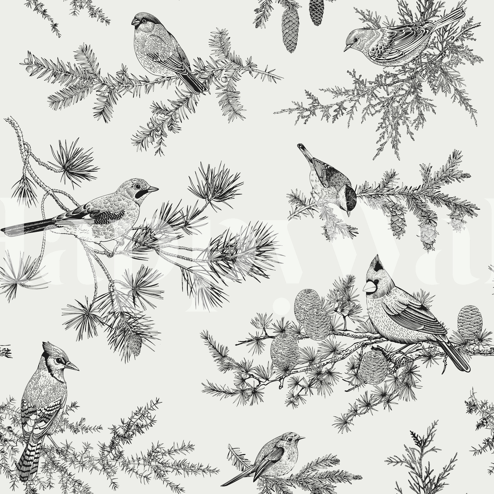 Buy Birds Toile Wallpaper Online - Happywall.com