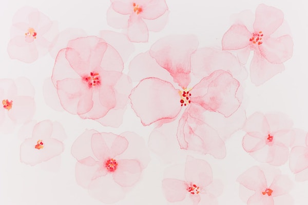 Pink Watercolor Floral