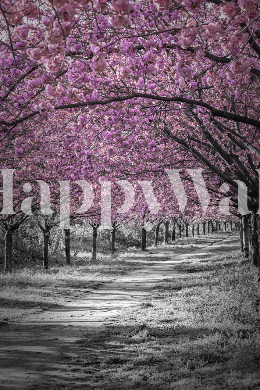 Tapeta Cherry blossom u sobi