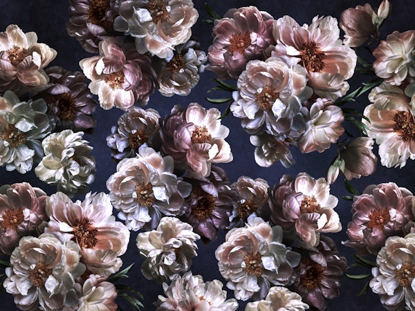 They Only Came Out At Night