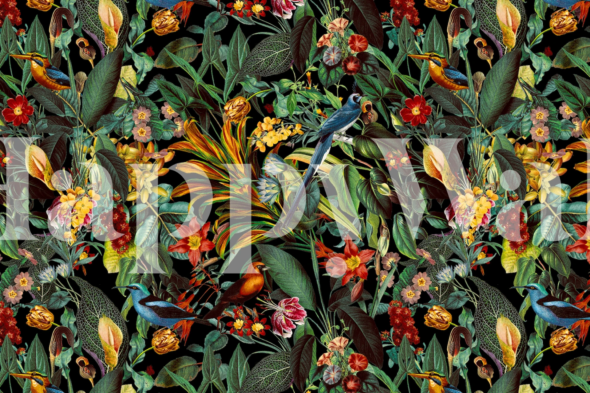 Šarena Birds World II tapeta u sobi