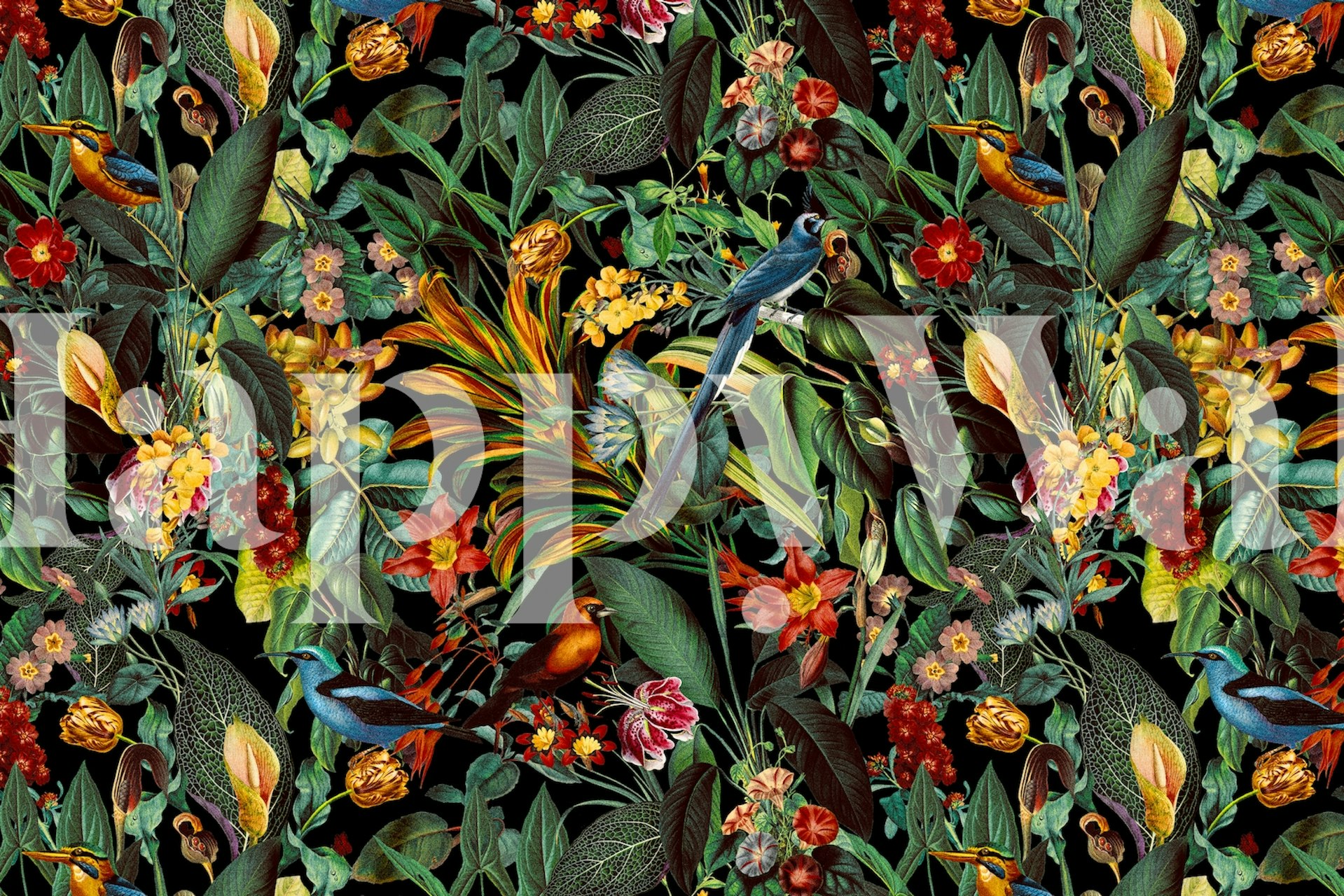 Colorful tropical birds and flowers with green leaves wallpaper