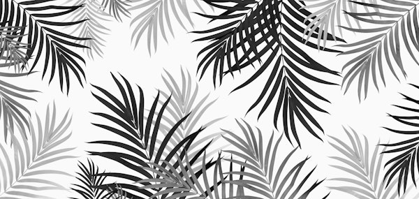 Palm Jungle 2