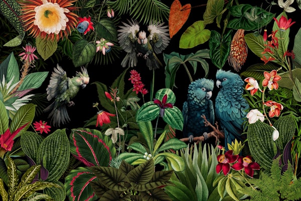 Mystic Moody Baroque Night Rainforest Jungle