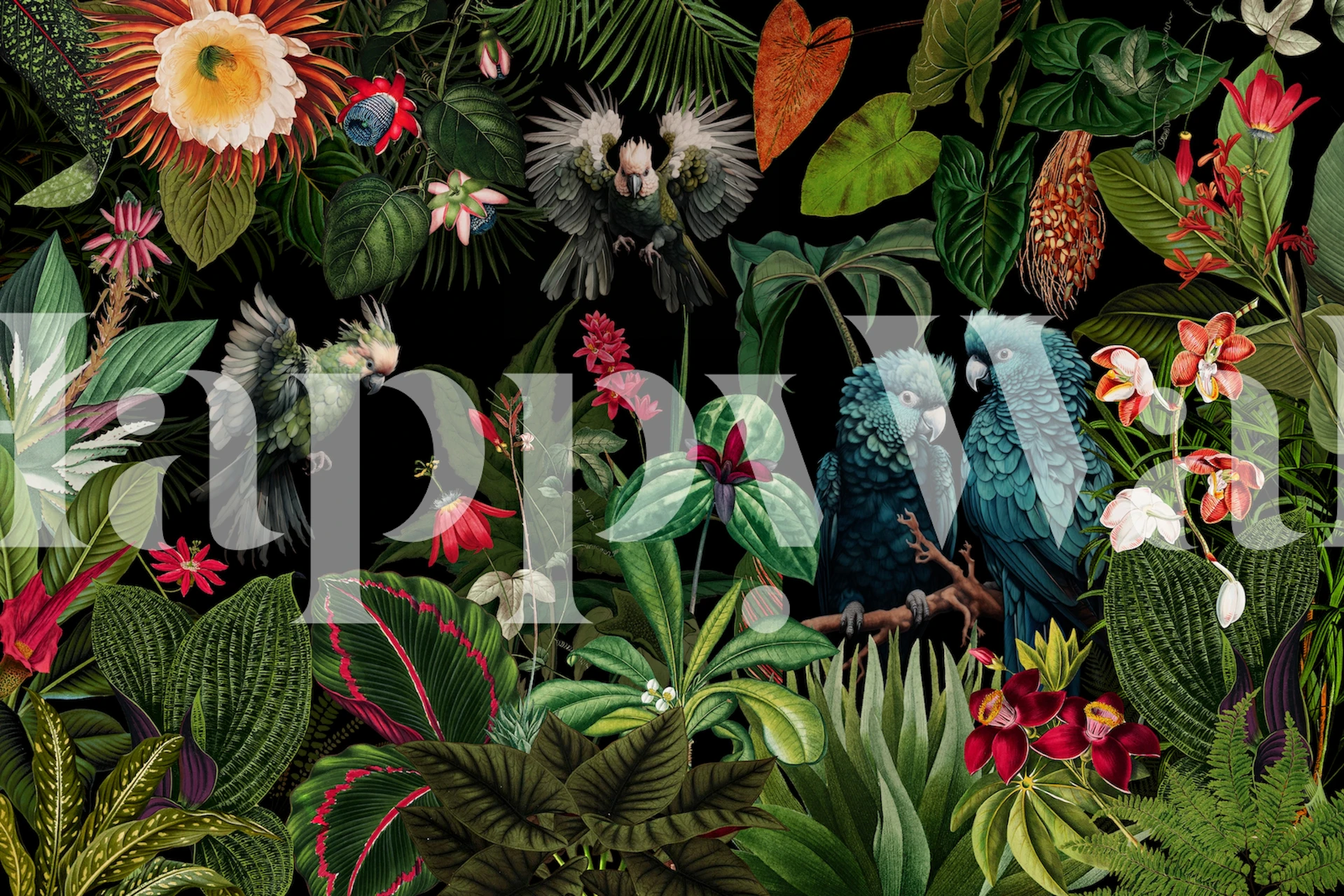 Mystic Moody Baroque Night Rainforest Jungle wallpaper