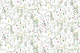 Spring Meadow Wildflower White
