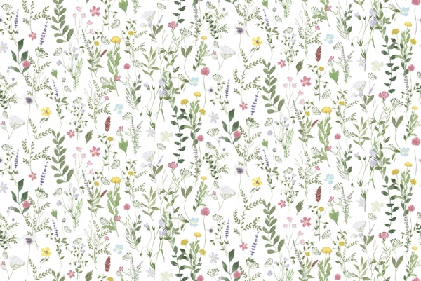 Spring Meadow Wildflower White