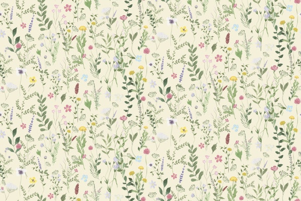 Spring Meadow Wildflower