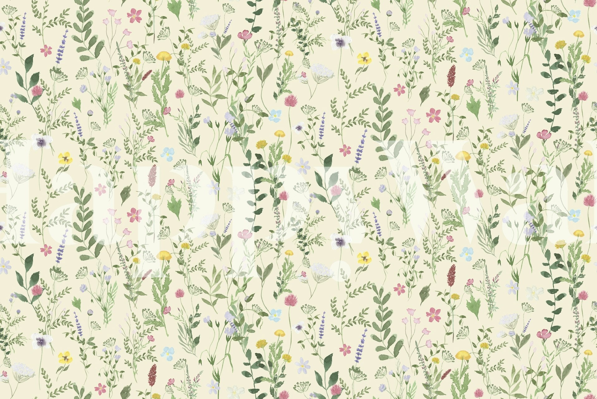 Colorful spring meadow flowers on pale background wallpaper