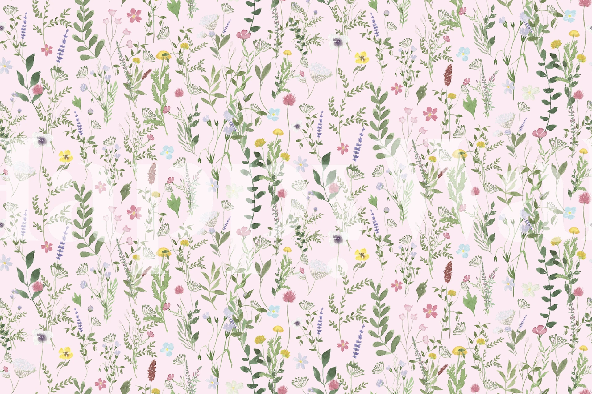 Spring Meadow Wildflower Rosa tapet med mjuk bakgrund och rosa blommönster