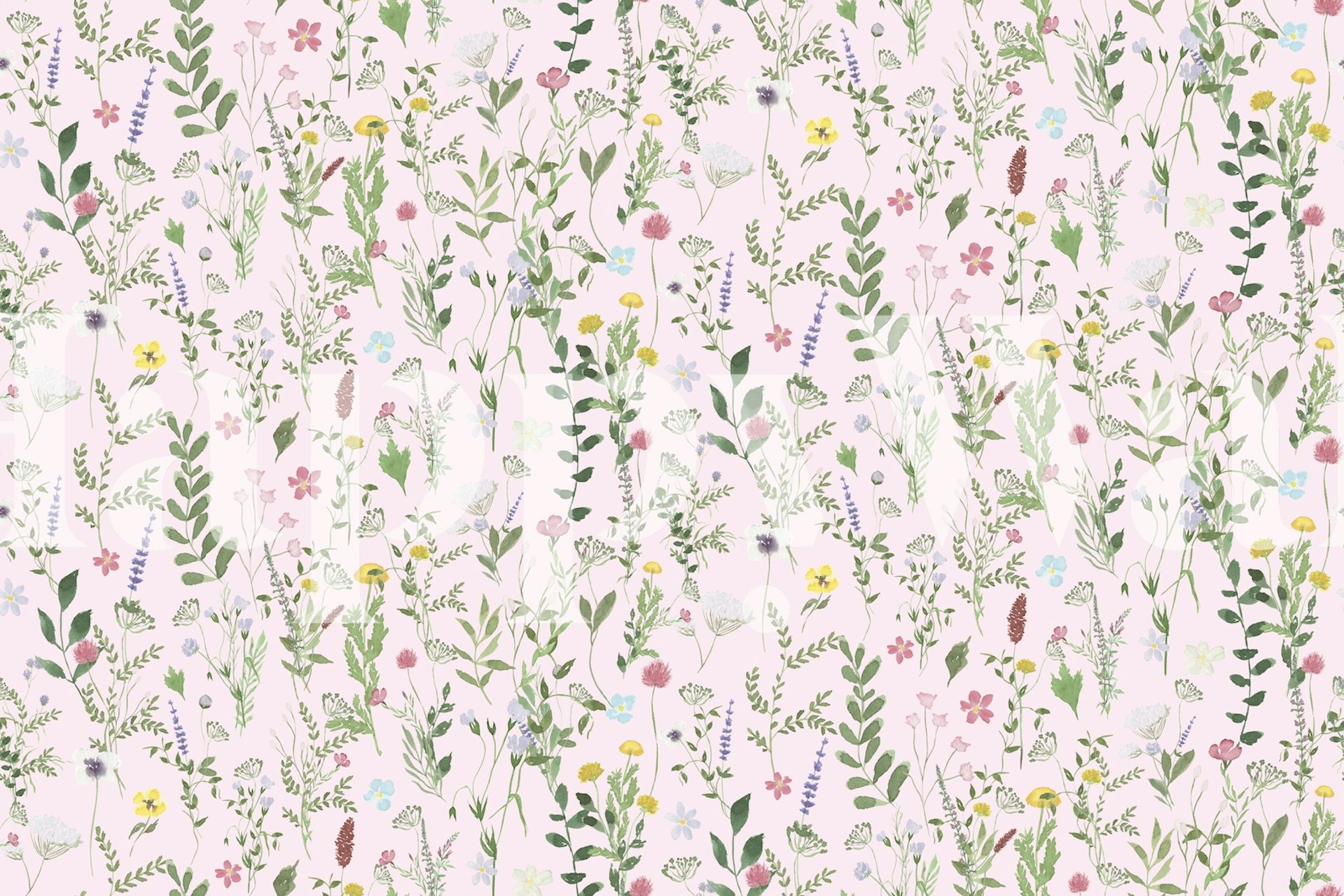 Spring Meadow Wildflower Rosa tapet med myk bakgrunn og rosa blomstermønster