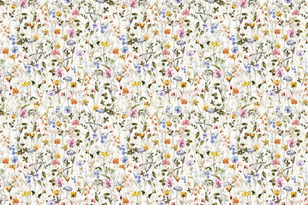 Wildflowers Midsummer Meadow 6