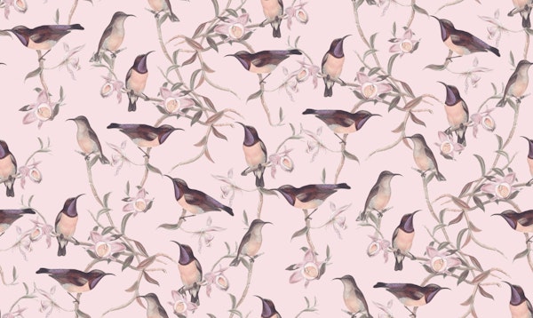 Hummingbird Chinoiserie