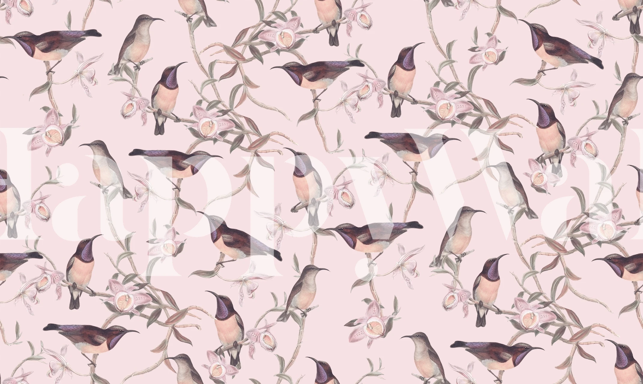 Hummingbird Chinoiserie wall mural with fluttering birds and floral patterns on pastel background