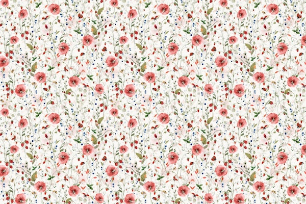 Wildflowers Midsummer Meadow 7