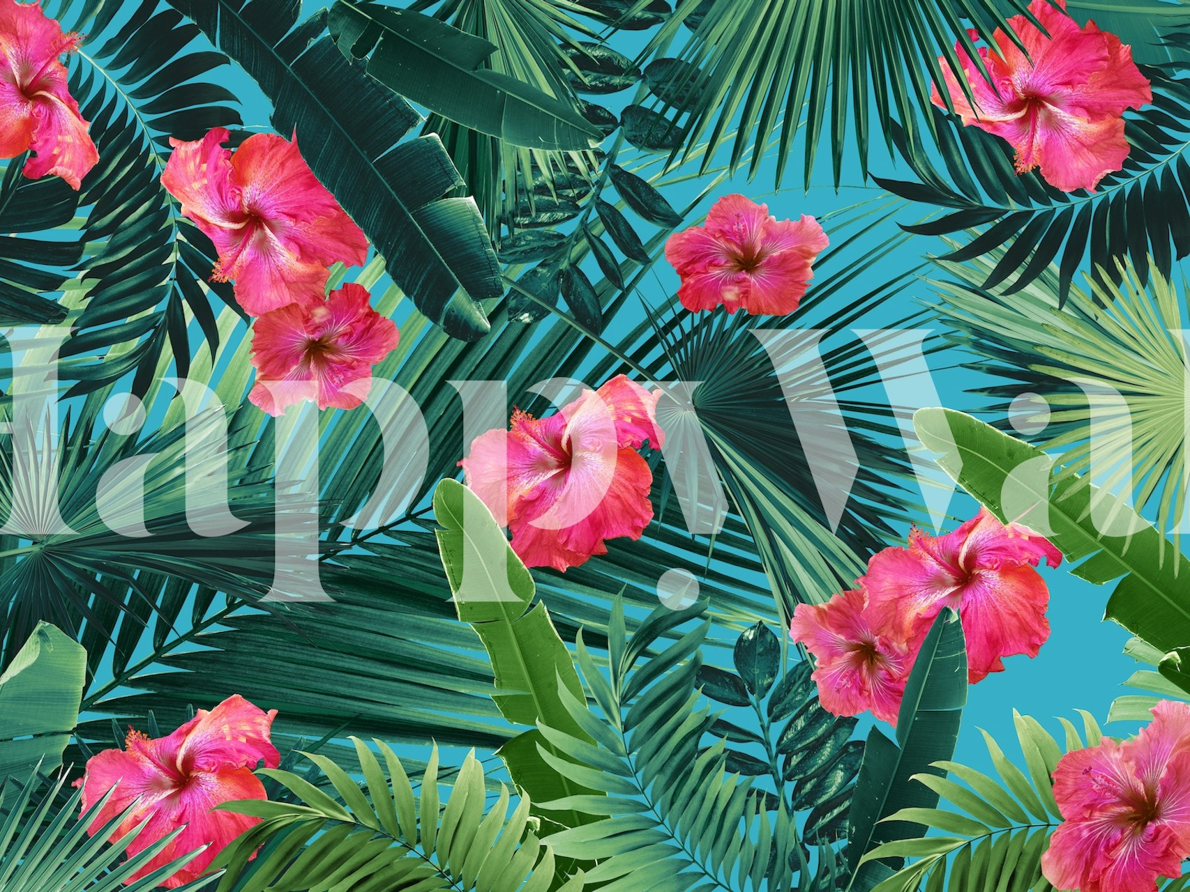 Roze hibiscusbloemen en groene palmbladeren muurschildering op turquoise achtergrond