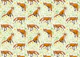 Foxes and buttercups