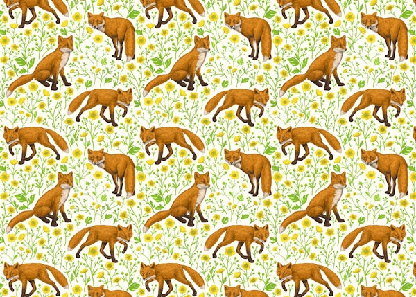 Foxes and buttercups