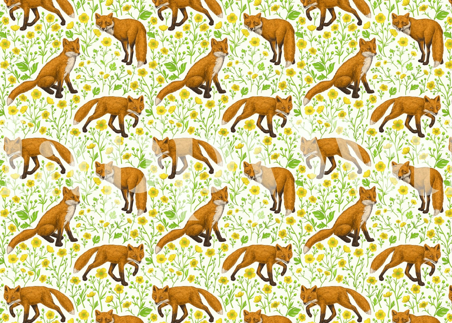 Playful foxes and bright yellow buttercups pattern wall mural.