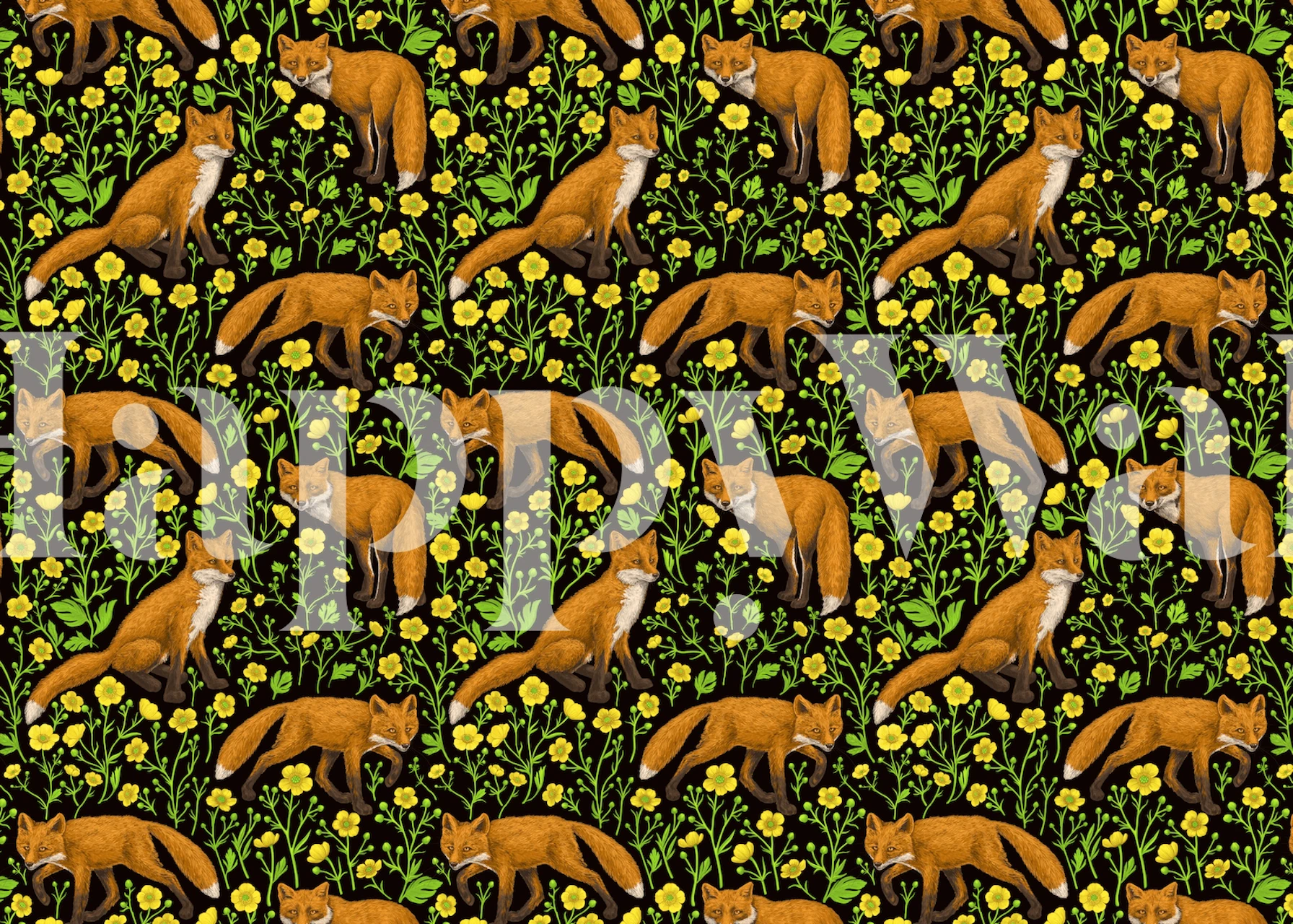 Foxes and yellow buttercups on black background wallpaper