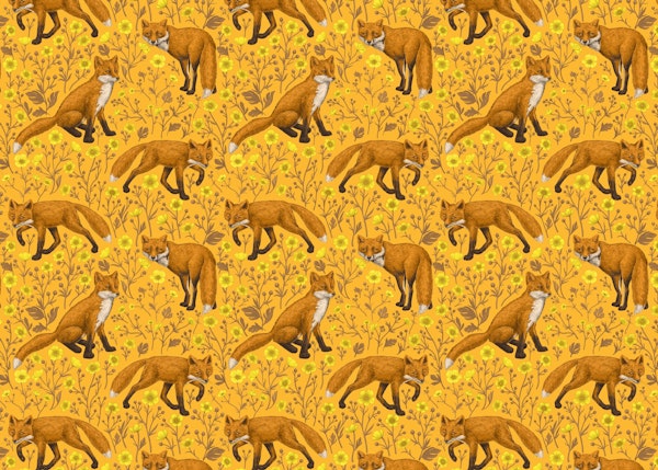 Foxes and buttercups on orange