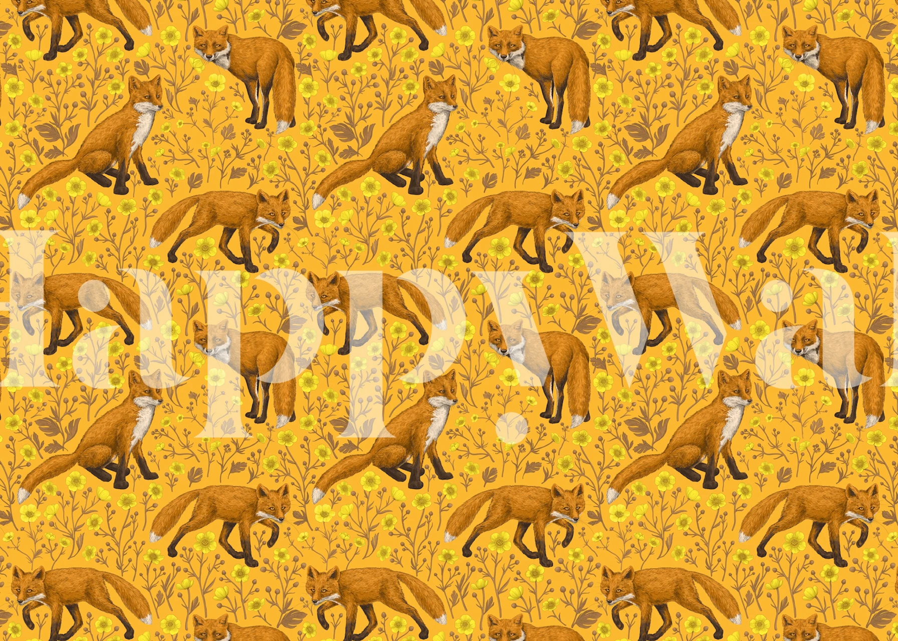Warm orange wall mural with playful foxes and buttercup flowers design