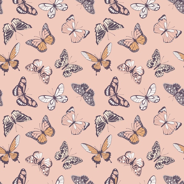 Soft Pink Butterfly Flight