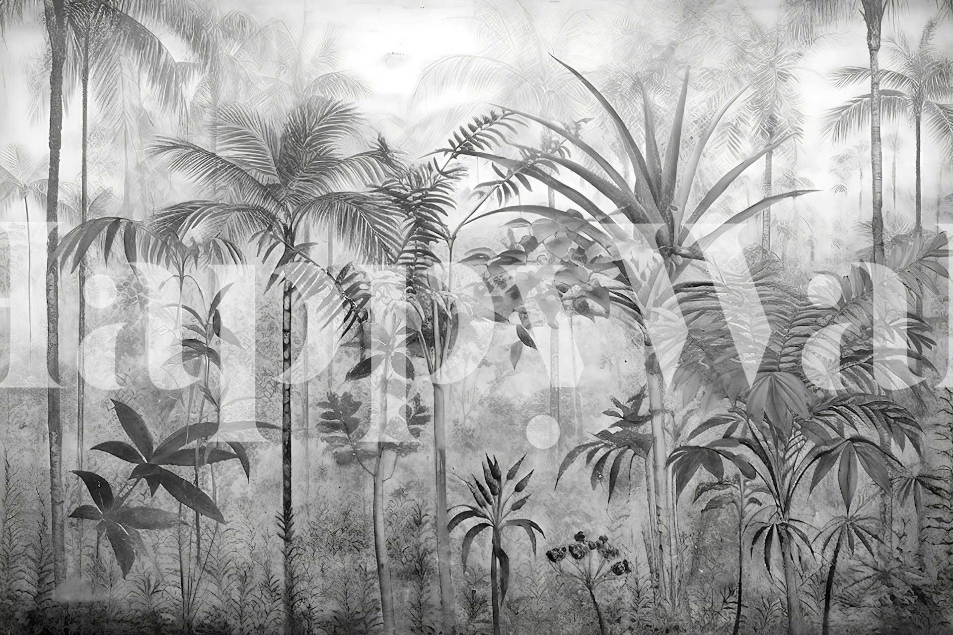 Tropical jungle with palm trees and foliage in black and white wallpaper
