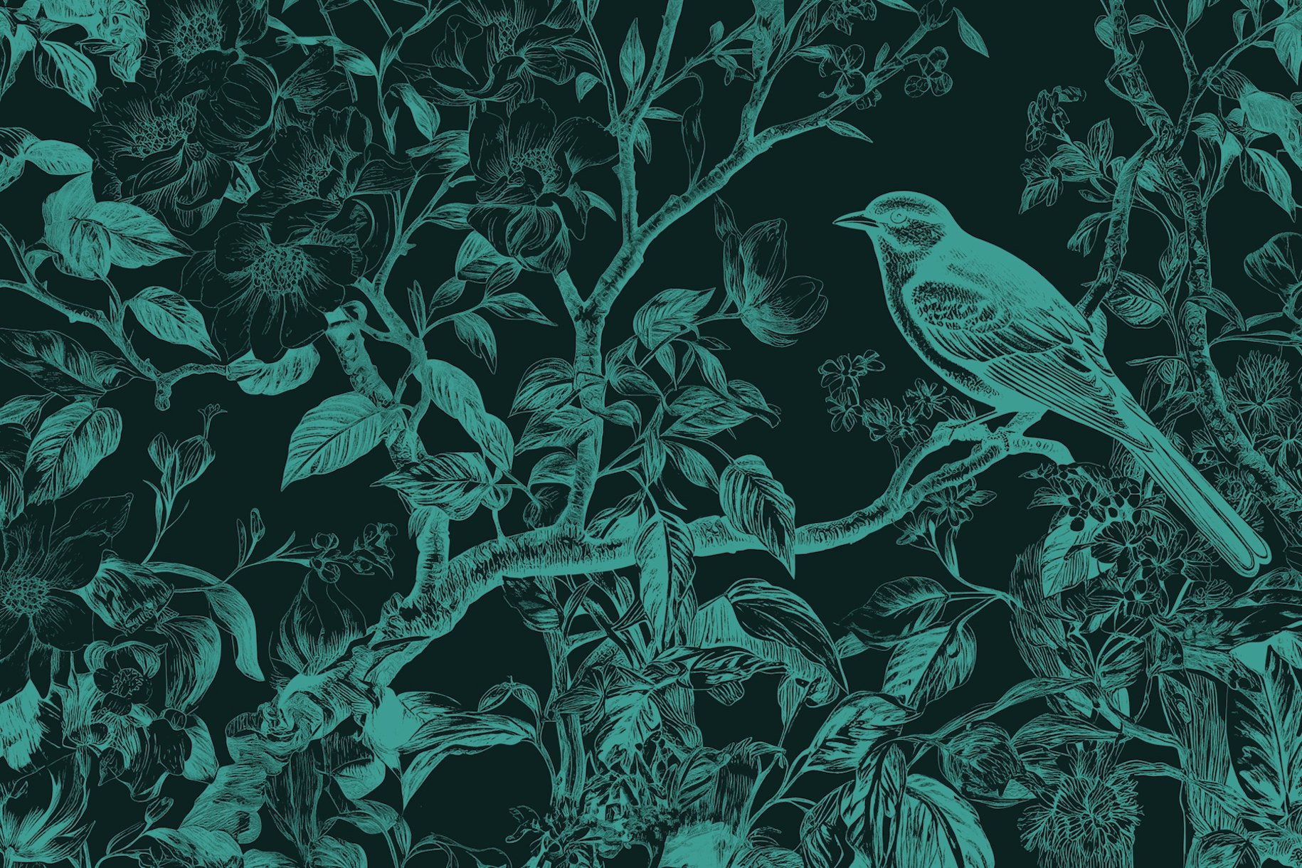Classic Blue Bird Wallpaper Buy Online Happywall